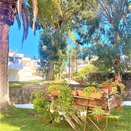 Appartement Sunrise Studio, Garden View & Wifi Free Costa Del Silencio